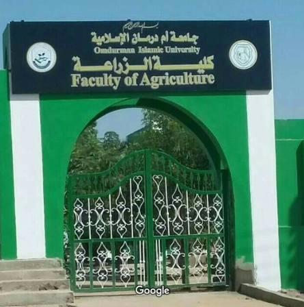 جامعة أم درمان الإسلامية — صورة 1